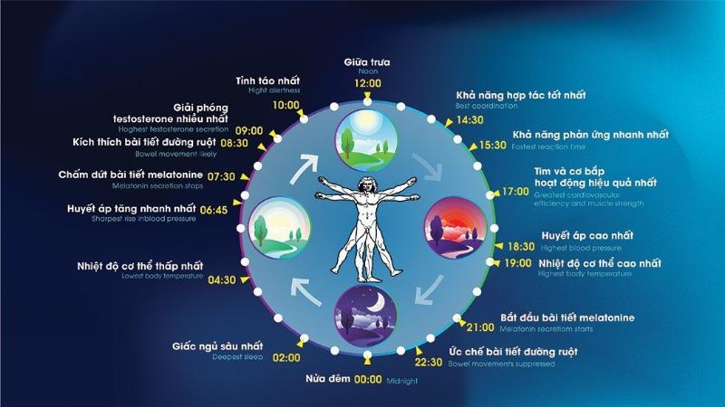 Dong ho dem nguoc online tren man hinh voi hinh anh nguoi dang tap trung lam viec, minh hoa cho viec cong cu nay giup tang cuong kha nang tap trung